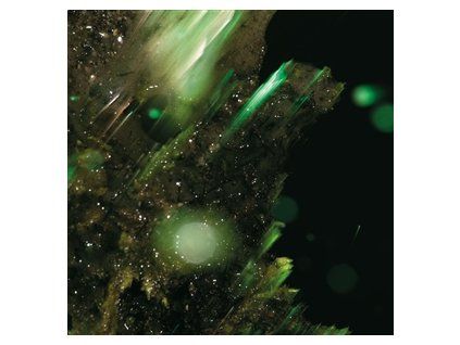 ABRAHAM - IDSUNGW�SS� (CD)