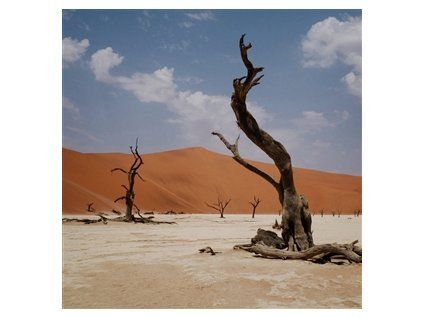 NYOS - GROWL (CD)