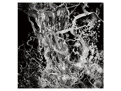 BRUIT_ - MONOLITH EP (DIGISLEEVE CD) (CD)