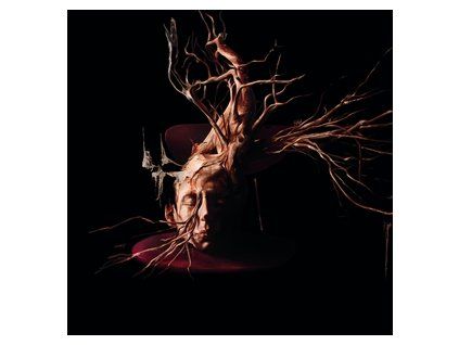 SWAN VALLEY HEIGHTS - TERMINAL FOREST (CD)