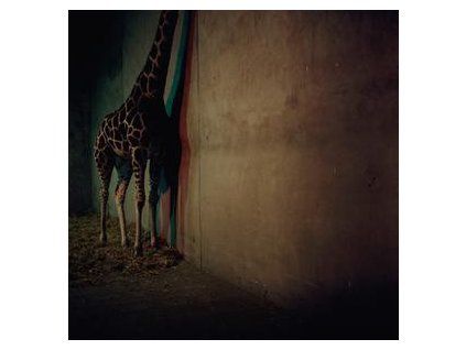 ALIEN ENSEMBLE - ALIEN ENSEMBLE 2 (CD)