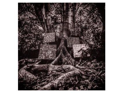WASHINGTON, KAMASI - HARMONY OF DIFFERENCE (CD)