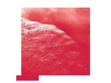 ALLRED, DAVID - THE CELL (CD)