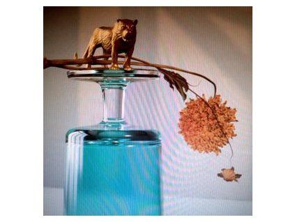 BEIRUT - GALLIPOLI (CD)