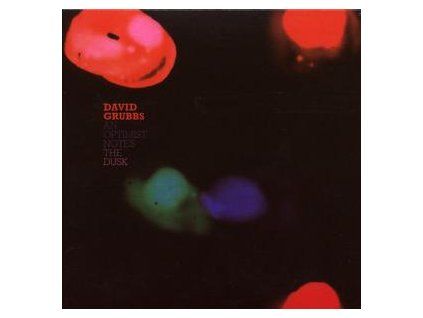 GRUBBS, DAVID - OPTIMIST NOTES THE DUSK (CD)