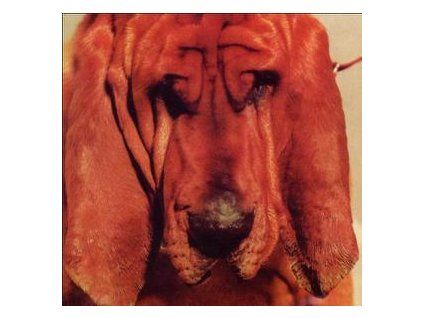 SEGALL, TY - GOODBYE BREAD (CD)