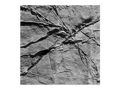 AGF /VARIOUS - ARACHNESOUND (CD)