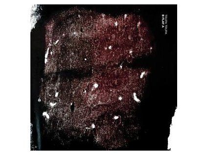 TRUPA, TRUPA - B FLAT A (CD)