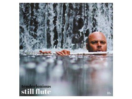 TENDERLONIOUS - STILL FLUTE (CD)
