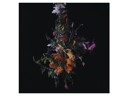BIG|BRAVE - NATURE MORTE (CD)
