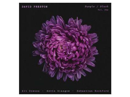 PRESTON, DAVID - PURPLE/BLACK VOL.1 (CD)