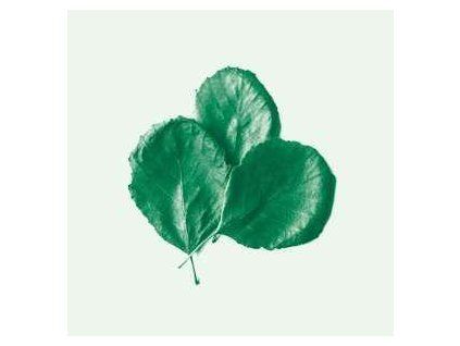 ALDER EGO - II (CD)