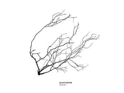BLACK MOTOR - BRANCHES (CD)