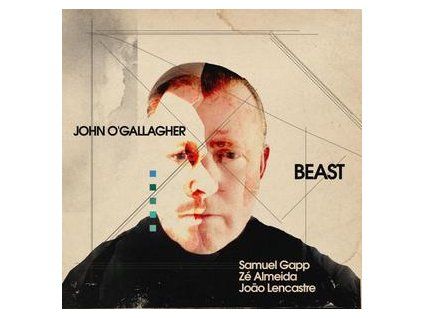 O'GALLAGHER, JOHN - BEAST (CD)