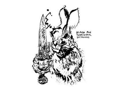 BLACK PUS - TERRESTRIAL SEETHINGS (CD)