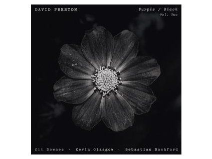 PRESTON, DAVID - PURPLE / BLACK VOL. 2 (CD)
