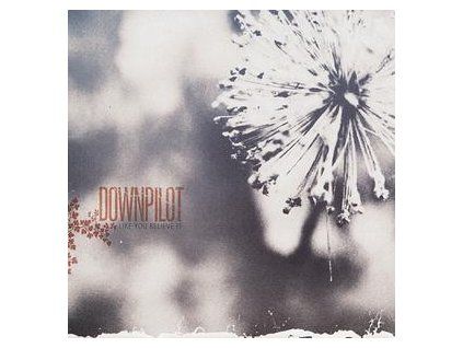 DOWNPILOT - LIKE YOU BELIEVE IT (CD)
