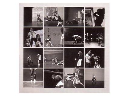 BRODERICK, PETER - MUSIC FOR FALLING FROM TREES (CD)