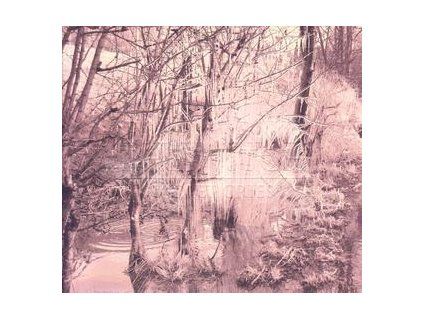ESBEN AND THE WITCH - VIOLET CRIES (CD)