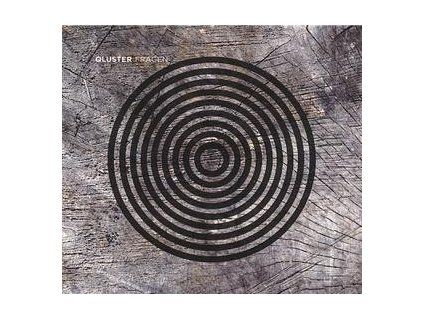 QLUSTER - FRAGEN (CD)