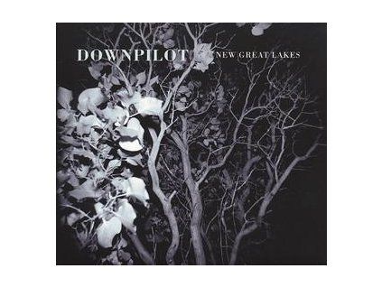 DOWNPILOT - NEW GREAT LAKES (CD)