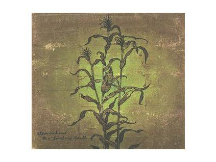 WOVENHAND - THE LAUGHING STALK (CD)