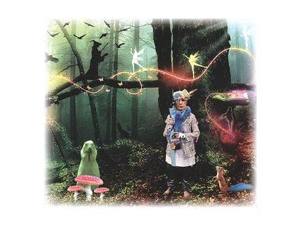 VARIOUS - STRIKE 100 (CD)