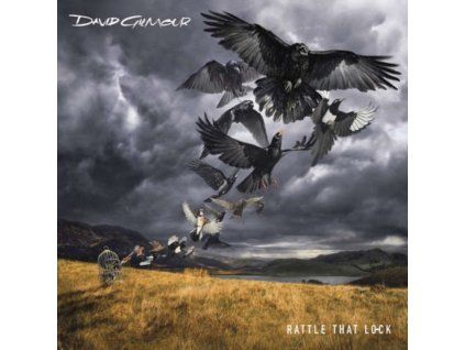 DAVID GILMOUR - Rattle That Lock (CD)