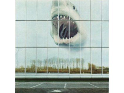 BLACK MOUNTAIN - Wilderness Heart (CD)