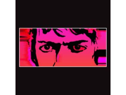 DELICATE STEVE - Till I Burn Up (CD)
