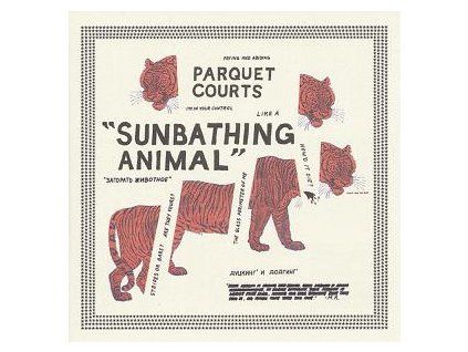 PARQUET COURTS - SUNBATHING ANIMAL (CD)