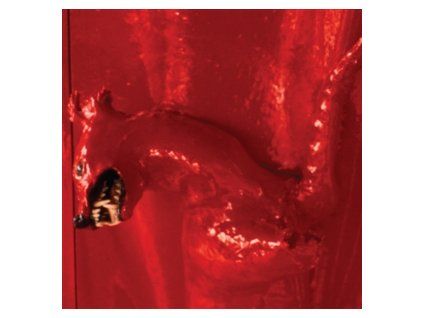 BASINSKI, WILLIAM - A RED SCORE IN TILE (CD)