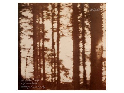 CINDYTALK - THE WIND IS STRONG... (CD)