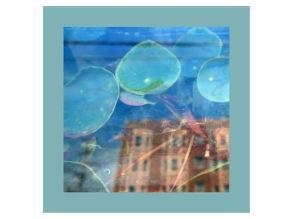 REDS, PINKS AND PURPLES, THE - ACKNOWLEDGE KINDNESS (CD)