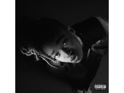 LITTLE SIMZ - Grey Area (CD)