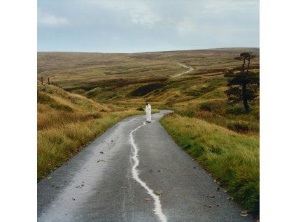 Jordan Rakei - The Loop (CD)