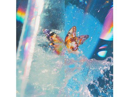 Daphni - Butterfly (CD)