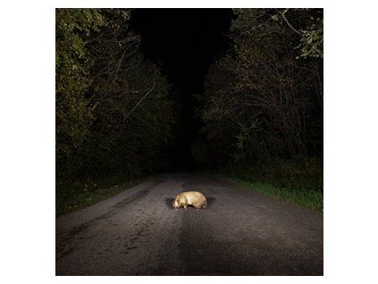 STONKS - BADGER (CD)