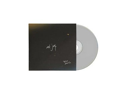 Mt. Joy - Hope We Have Fun (CD)
