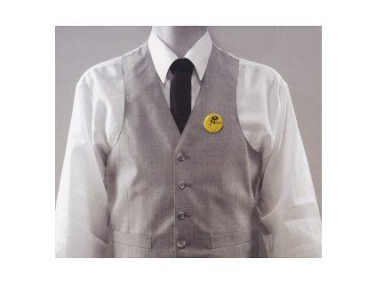 VARIOUS - BUTTONS: FROM CHAMPAIGN TO CHICAGO (CD)