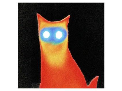 BASEMENT - WIRED (CD)