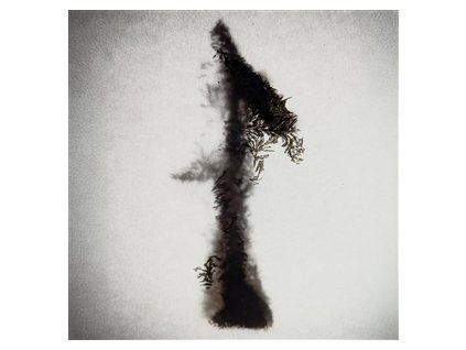 VLMV - THERE WILL COME SOFT RAIN (CD)
