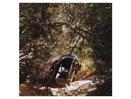 SEGALL, TY - POSSESSION (CD)