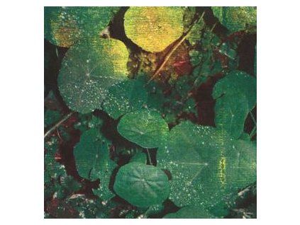 WHOMAN - ABOUT HONEY (CD)