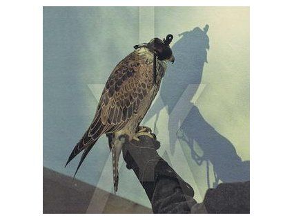 ICEAGE - YOU'RE NOTHING (CD)