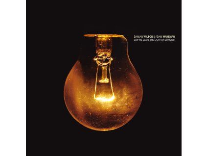 Damian Wilson - Can We Leave The Light On Longer? (CD)