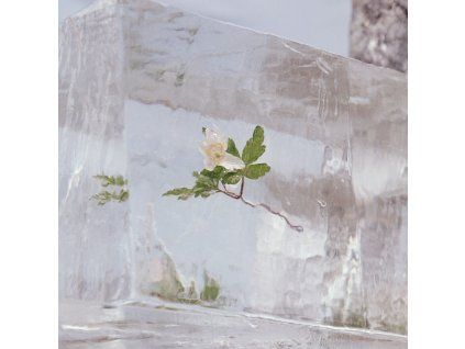Efterklang - Windflowers (CD)