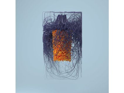 Plaid - Polymer (CD)