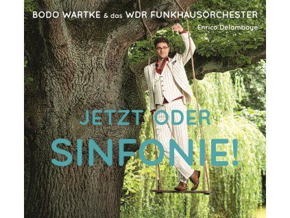 Bodo Wartke - Jetzt oder Sinfonie! (CD)
