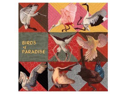 DOLLBAUM, THOMAS - BIRDS OF PARADISE (CD)